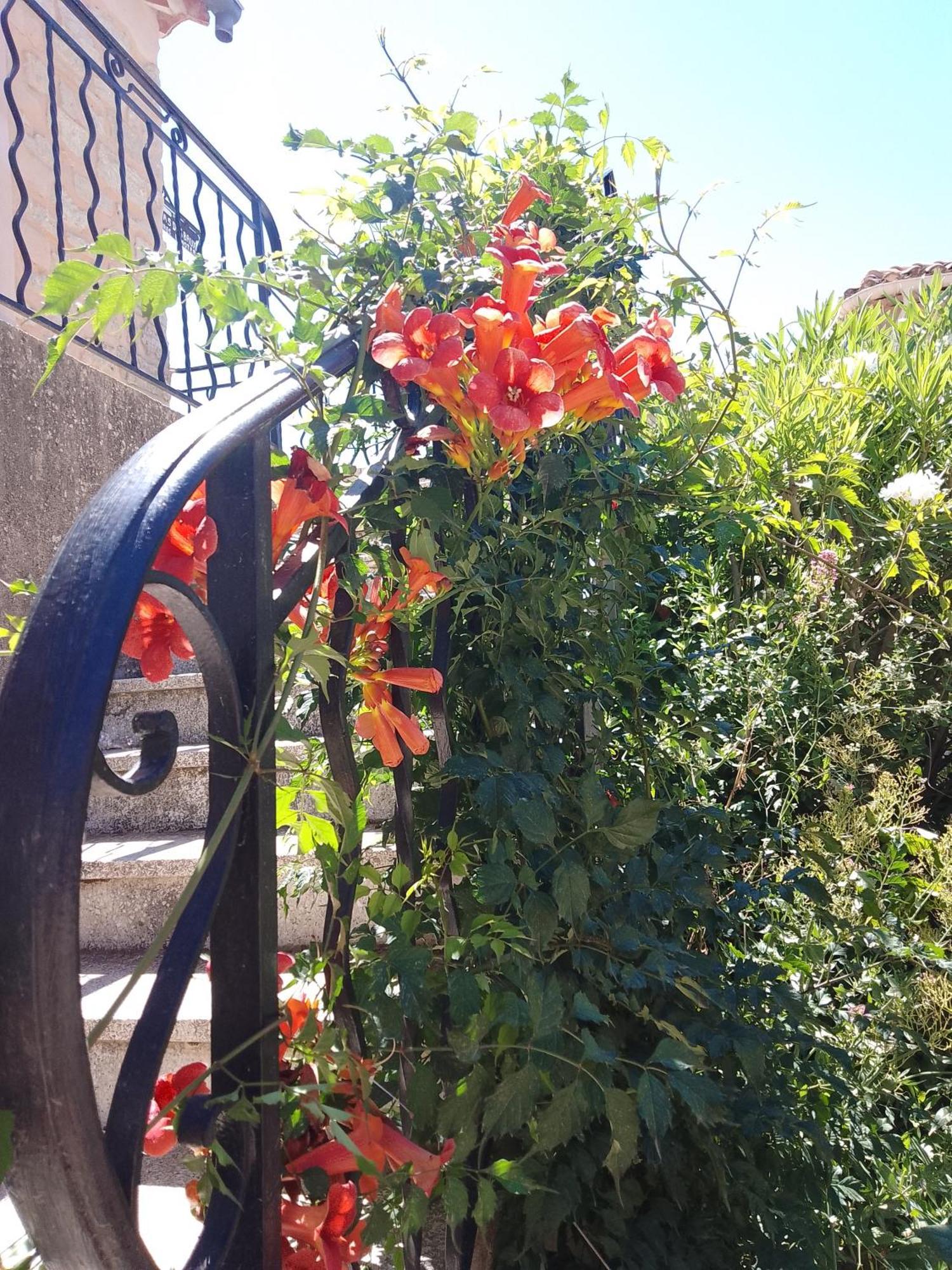 בדואן Les Gites Du Mont Ventoux מראה חיצוני תמונה