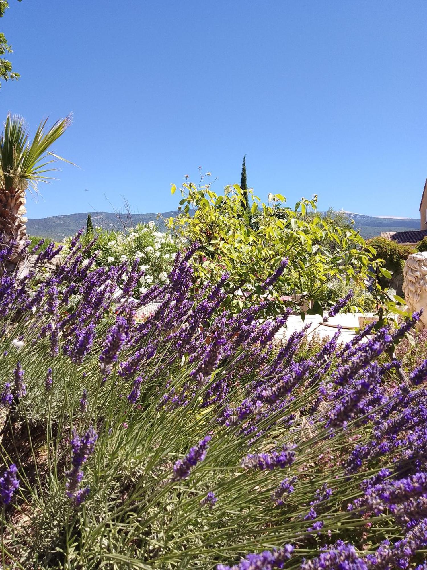 בדואן Les Gites Du Mont Ventoux מראה חיצוני תמונה