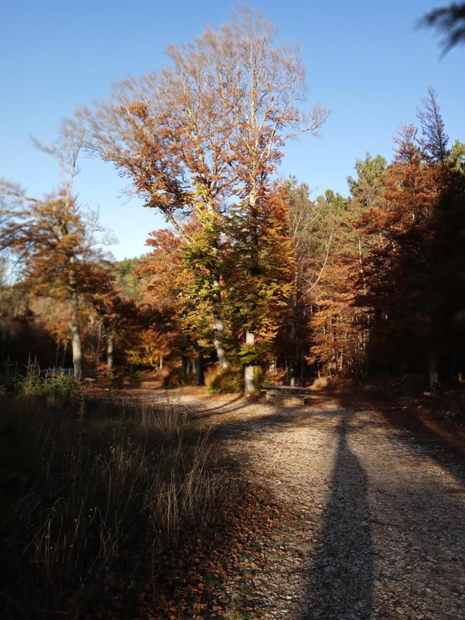 בדואן Les Gites Du Mont Ventoux מראה חיצוני תמונה