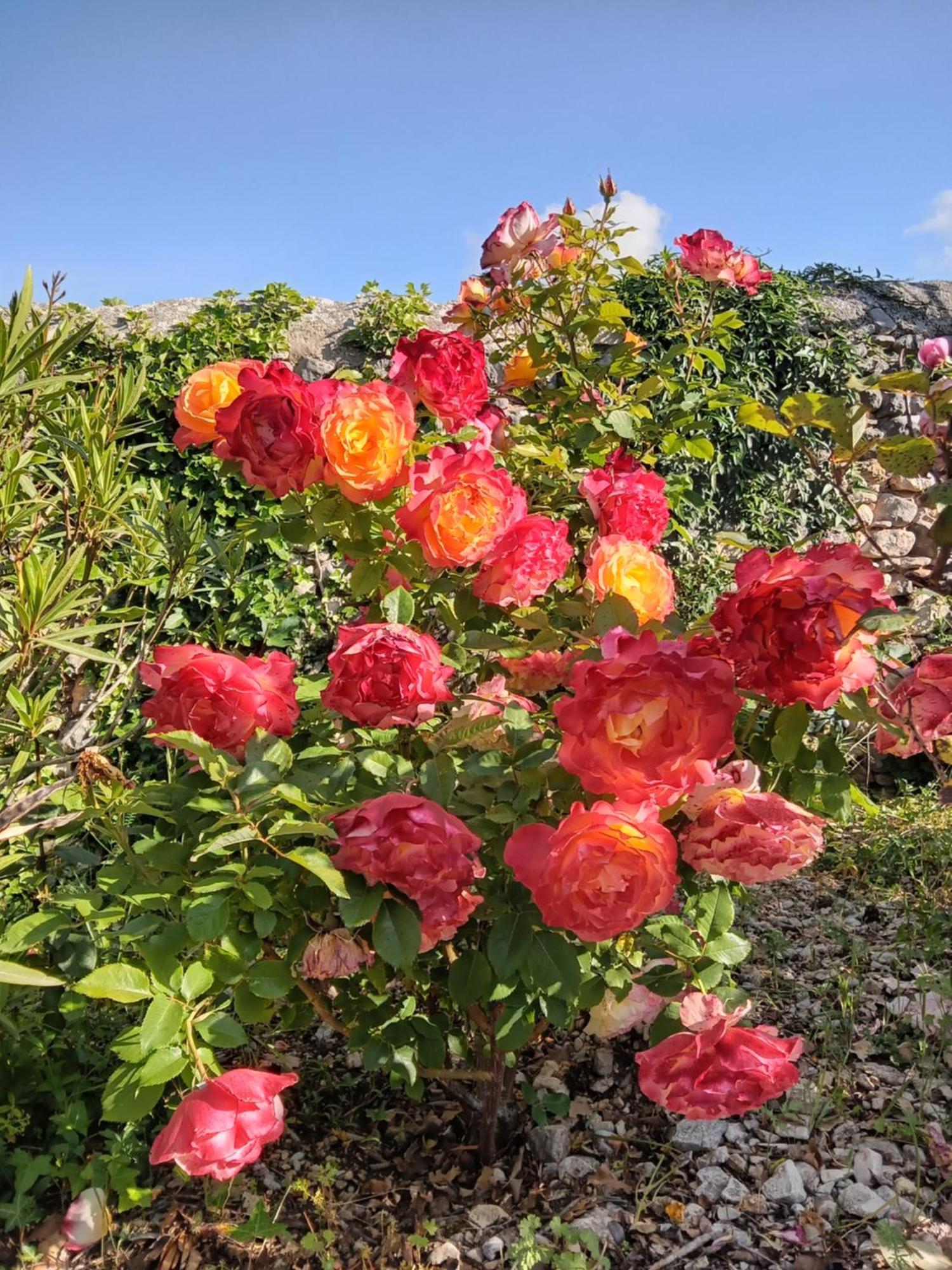 בדואן Les Gites Du Mont Ventoux מראה חיצוני תמונה